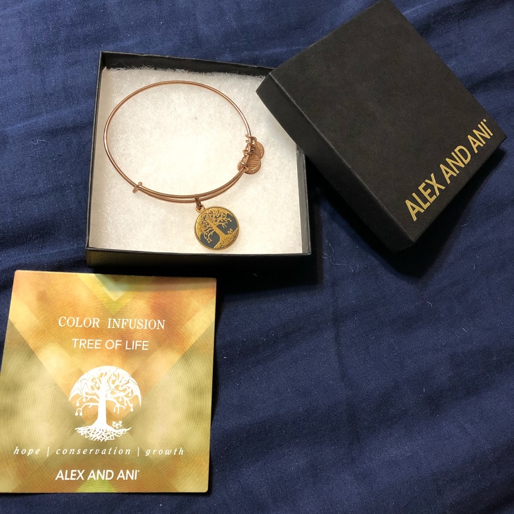 Alex and Ani Bracelet